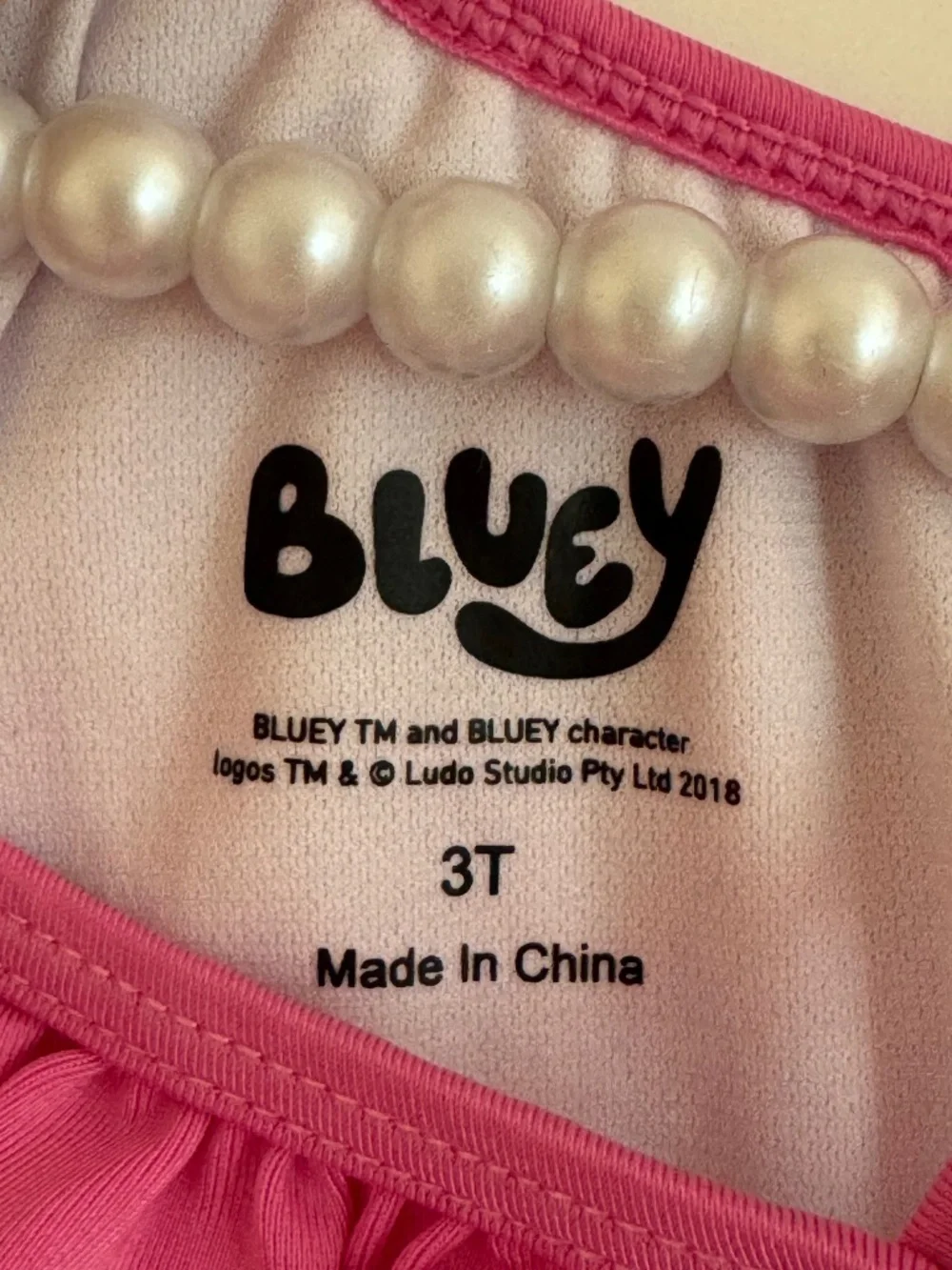 Bluey Ice Cream 3T Swim